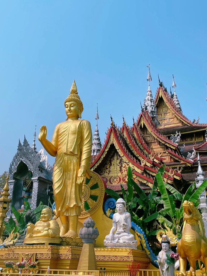 西双版纳旅游客运