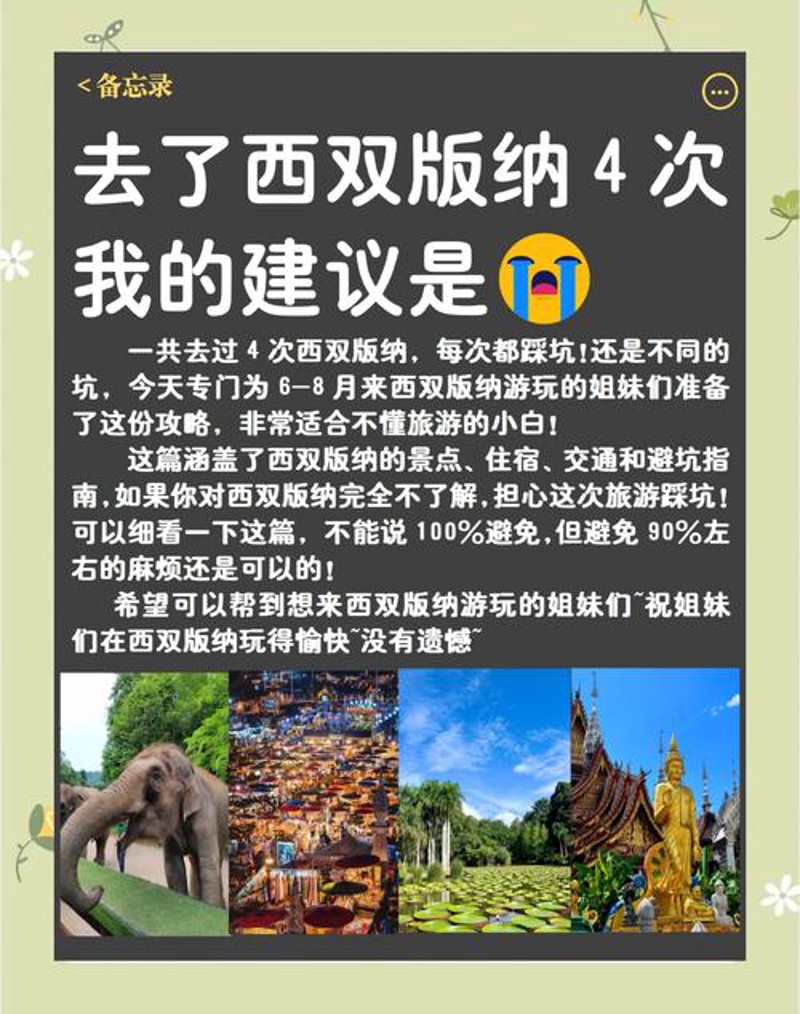 西双版纳旅游客运：解锁云南迷人自然风光的新方式